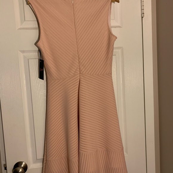 Cotton Candy - Picture 5 of 5